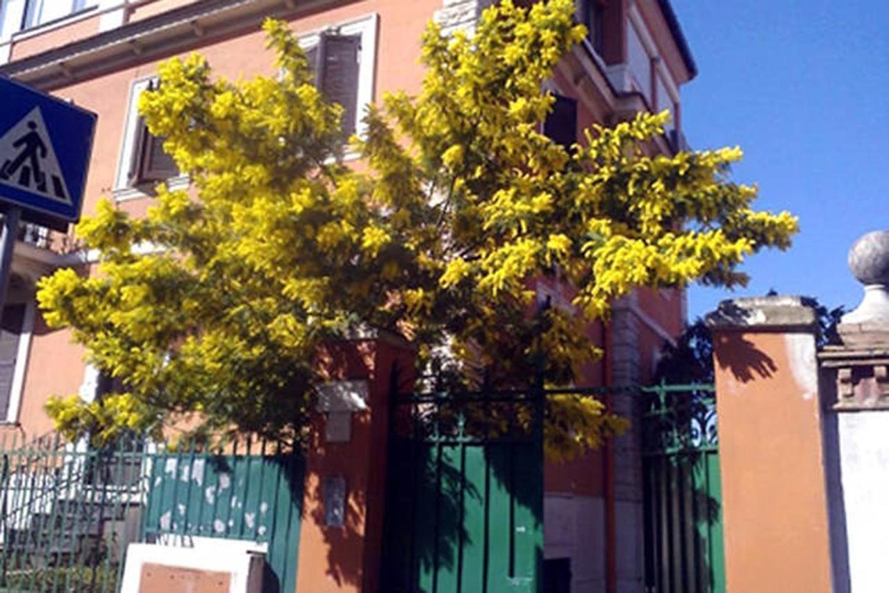 Garden Flat By Vatican Walls Rom Exterior foto
